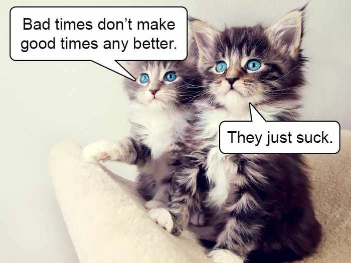 20 Hard Truths From Cats Will Amaze You -09