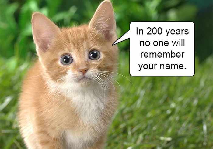 20 Hard Truths From Cats Will Amaze You -12