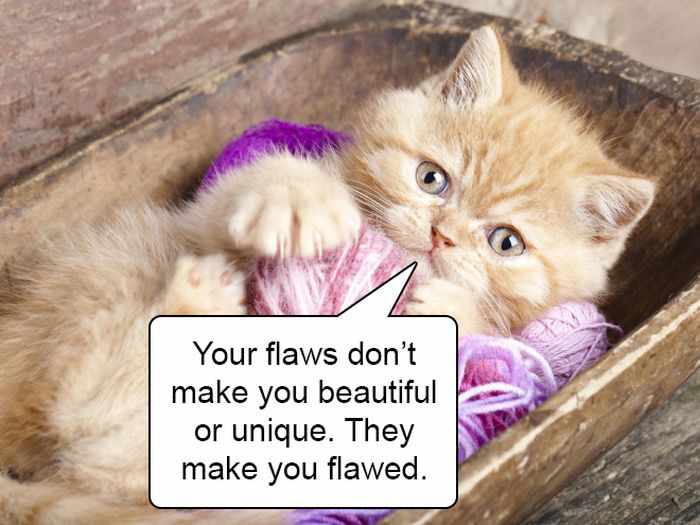 20 Hard Truths From Cats Will Amaze You -14