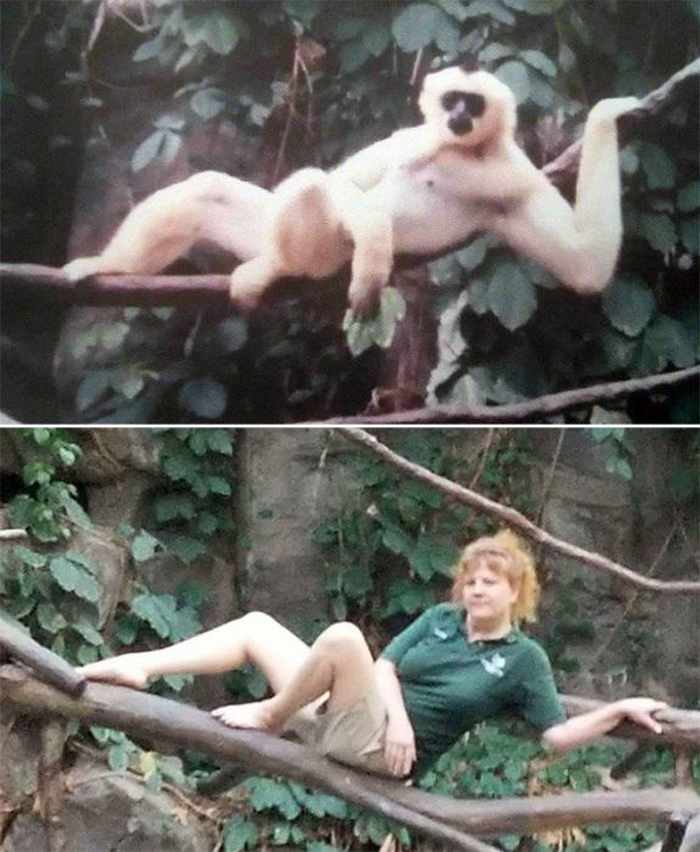 16 Funny Pictures of Zookeepers as Animals Will Make Your Day -06