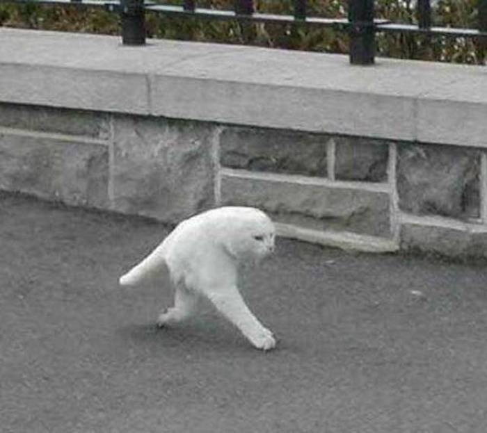 24 Epic Fail Google Street View Pictures That Are Hilarious -08