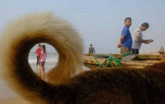 50 Perfectly Timed Photos That Will Blow Your Mind Seriously -04