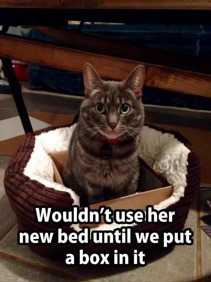 Funny Animal Pictures Of The Day Release 2 (56 Photos)-32