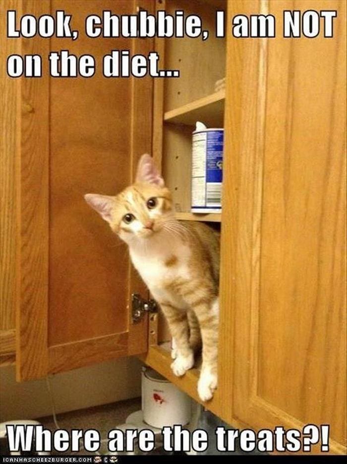Funny Animal Pictures Of The Day Release 2 (56 Photos)-45