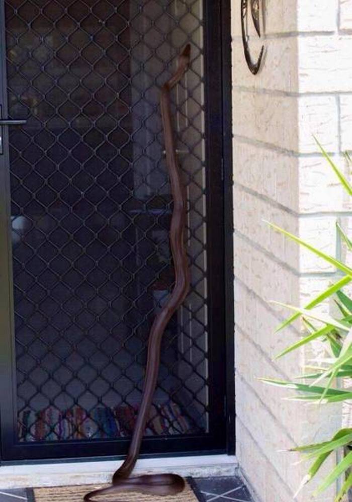 40+ Meanwhile In Australia Photos That Will Shock You-18