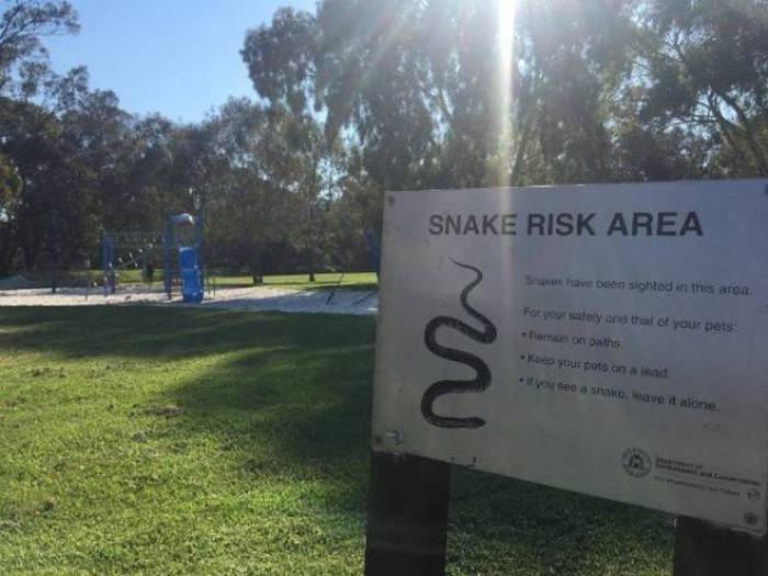 40+ Meanwhile In Australia Photos That Will Shock You-22