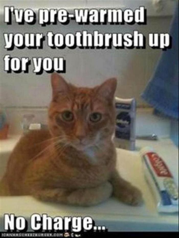 Funny Animal Pictures Of The Day Release 3 (64 Photos)-22