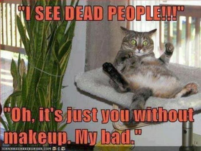 Funny Animal Pictures Of The Day Release 3 (64 Photos)-25