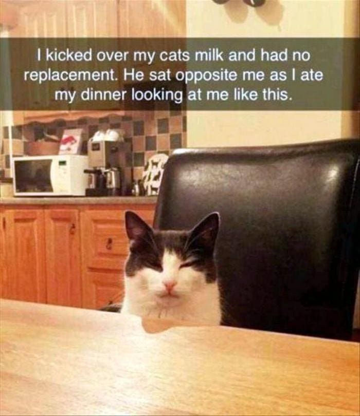 Funny Animal Pictures Of The Day Release 3 (64 Photos)-33