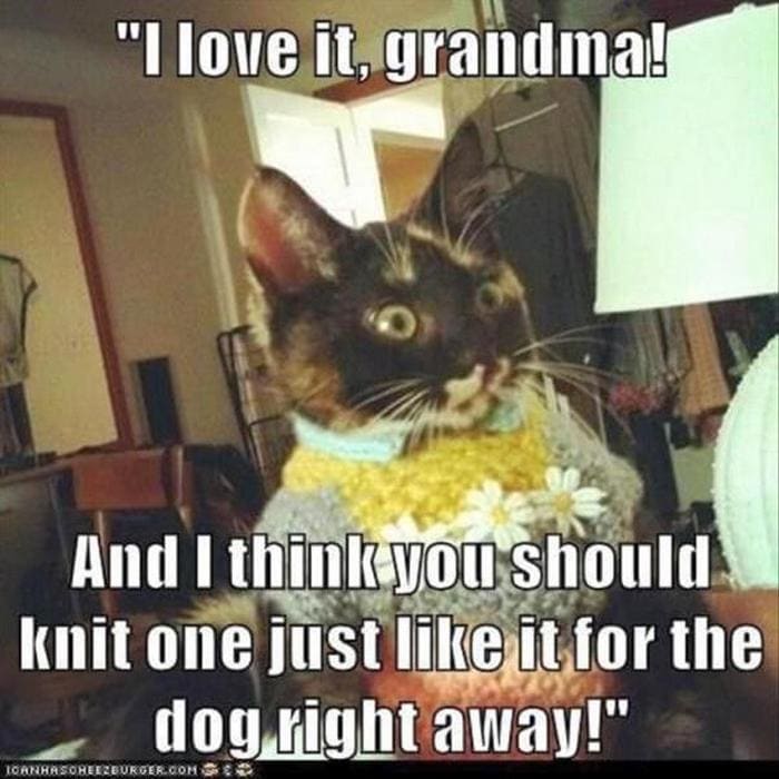 Funny Animal Pictures Of The Day Release 3 (64 Photos)-42