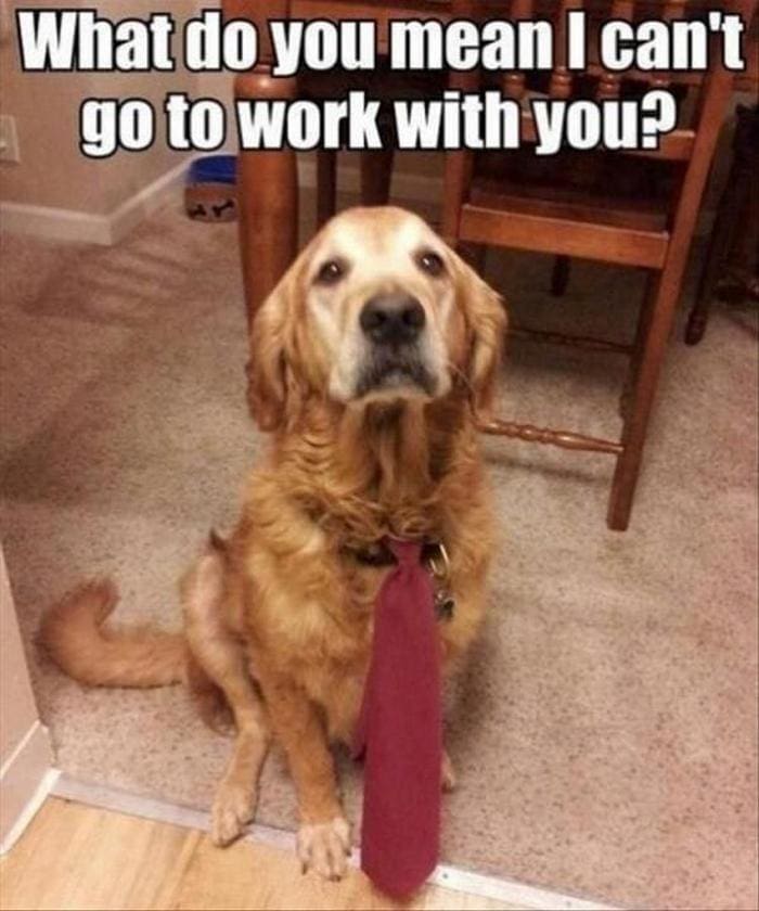 Funny Animal Pictures Of The Day Release 3 (64 Photos)-44