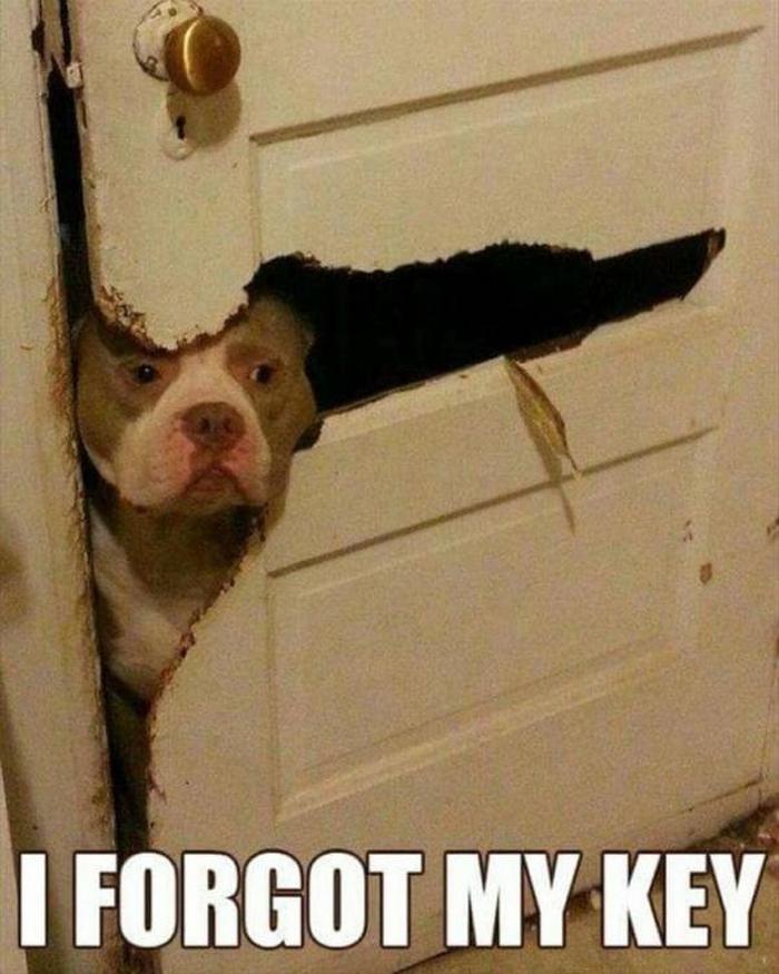 Funny Animal Pictures Of The Day Release 3 (64 Photos)-45