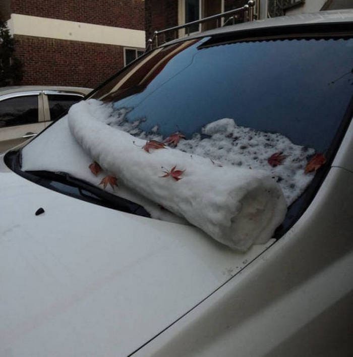 40+ Funny Winter Photos That Will Shock You-06