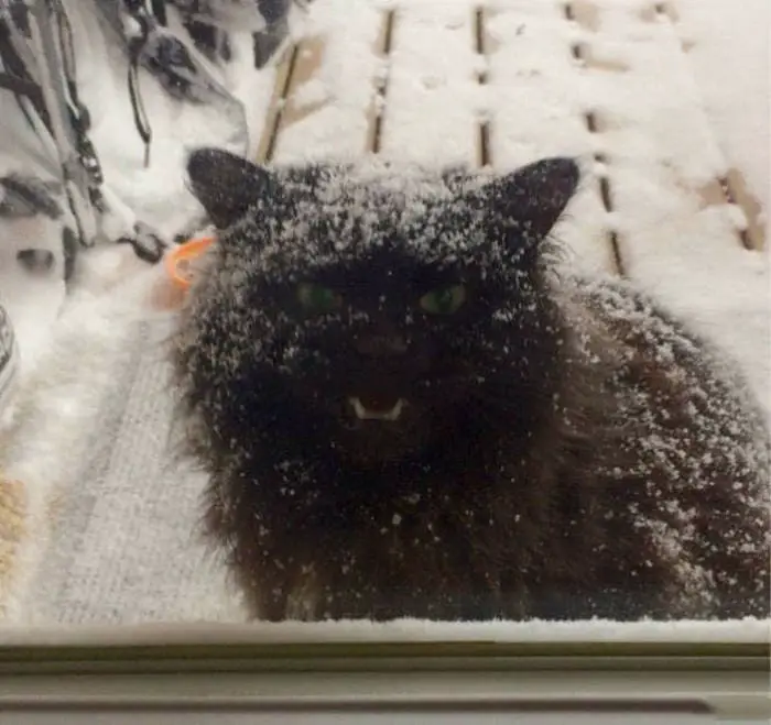 40+ Funny Winter Photos That Will Shock You-24