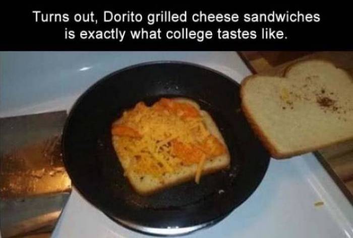 61 Funny College Humor Pics That Will Take Us Back To Those Days-12
