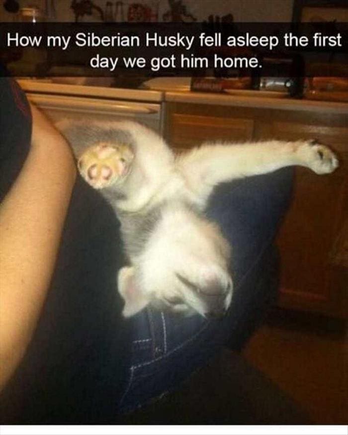 Funny Animal Pictures Of The Day Release 5 (65 Photos)-17