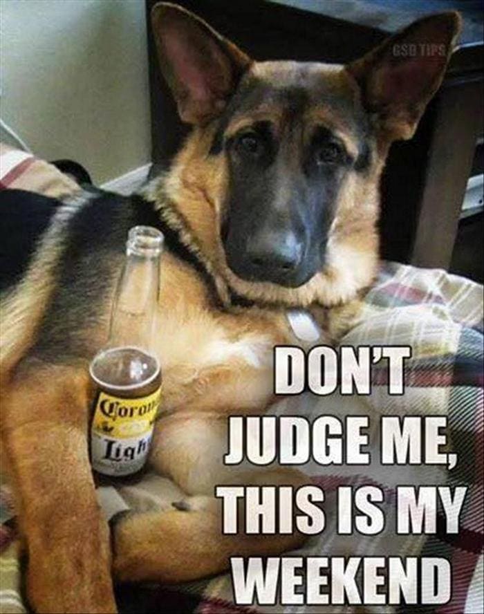 Funny Animal Pictures Of The Day Release 5 (65 Photos)-59
