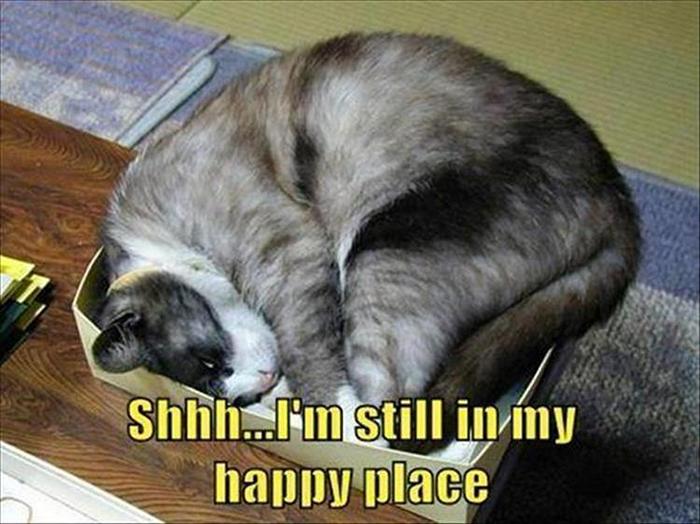 Funny Animal Pictures Of The Day Release 7 (100 Photos)-23