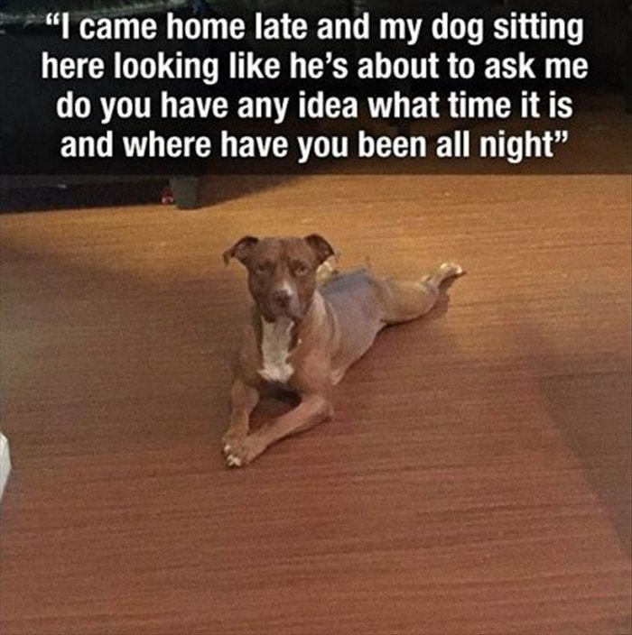 Funny Animal Pictures Of The Day Release 7 (100 Photos)-49