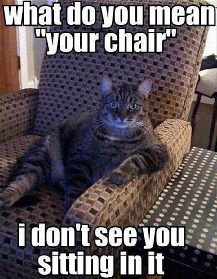 Funny Animal Pictures Of The Day Release 7 (100 Photos)-81