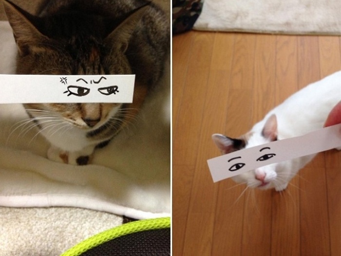 Cats With Cartoon Mouths And Eyes (19 Pics)-03