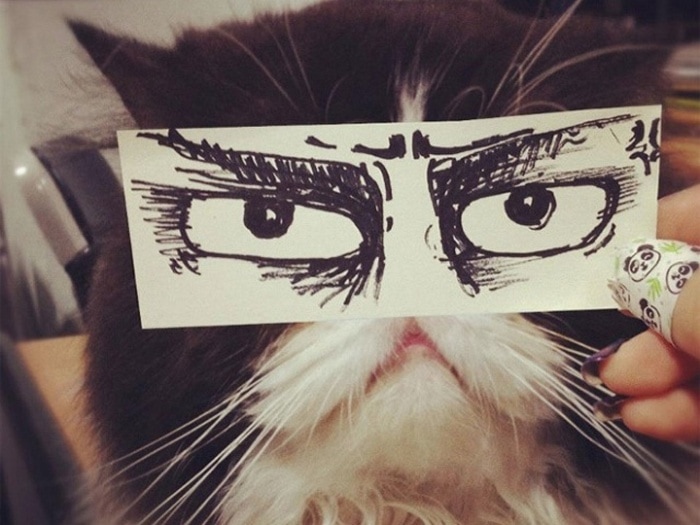 Cats With Cartoon Mouths And Eyes (19 Pics)-10