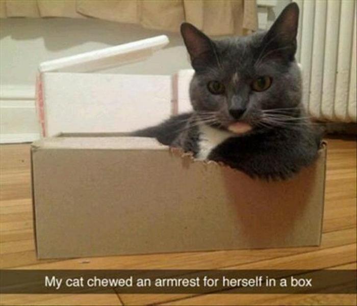 Funny Animal Pictures Of The Day Release 9 (37 Photos)-03