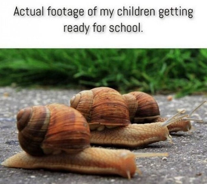 32 Parenting Memes That Will Make You LOL-22