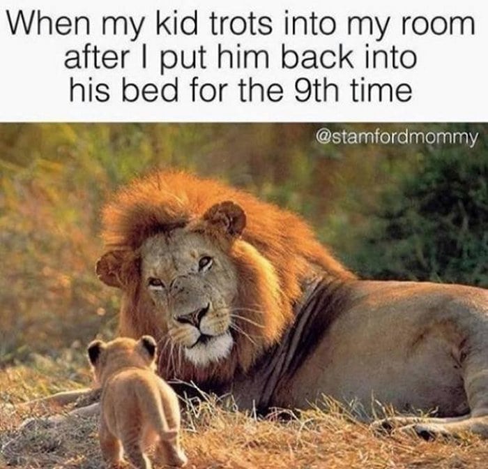 32 Parenting Memes That Will Make You LOL-32