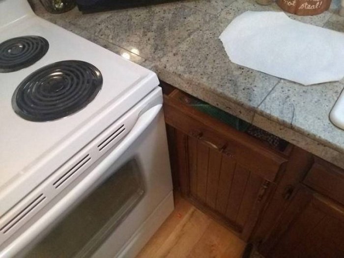 52 People Who Definitely Totally Nailed It-10