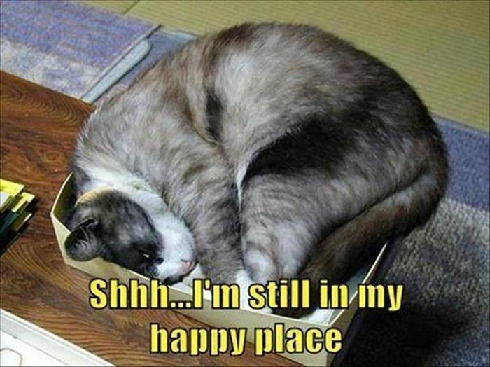 Funny Animal Pictures Of The Day Release 11 (44 Photos)-19
