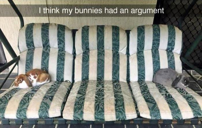 Funny Animal Pictures Of The Day Release 11 (44 Photos)-20