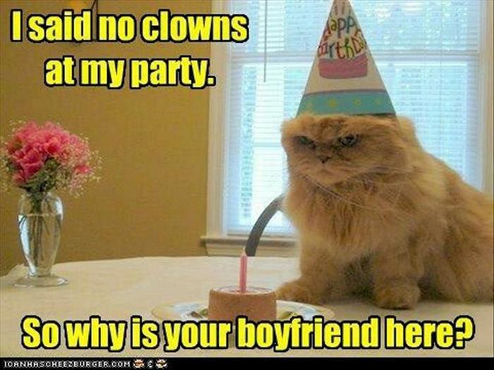 Funny Animal Pictures Of The Day Release 12 (45 Photos)-21