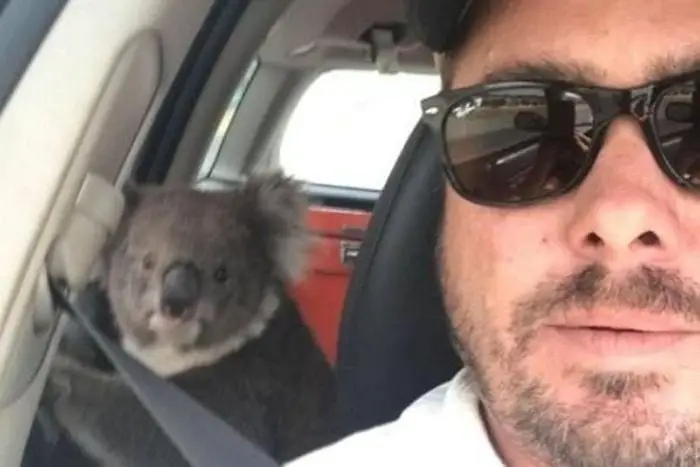 24 Best Meanwhile In Australia Photos-02