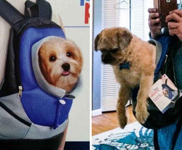 17 Online Shopping Expectation Vs Reality Examples Will Make You LOL-10
