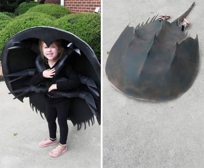 50 Awesome Halloween Costumes That Will Blow Your Mind-08