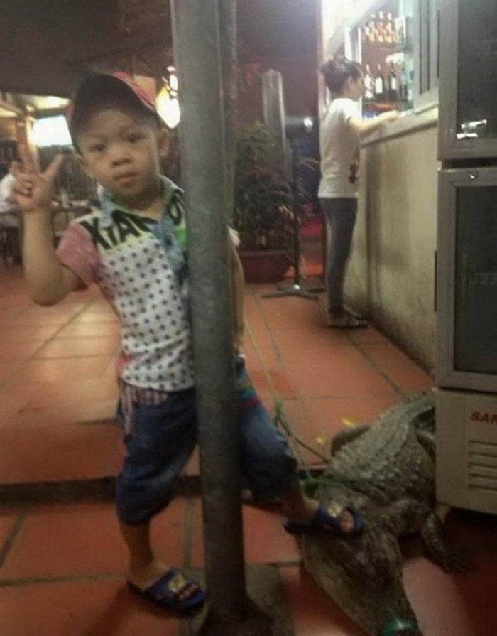 47 Ridiculous Funny Asians That Think Differently-16