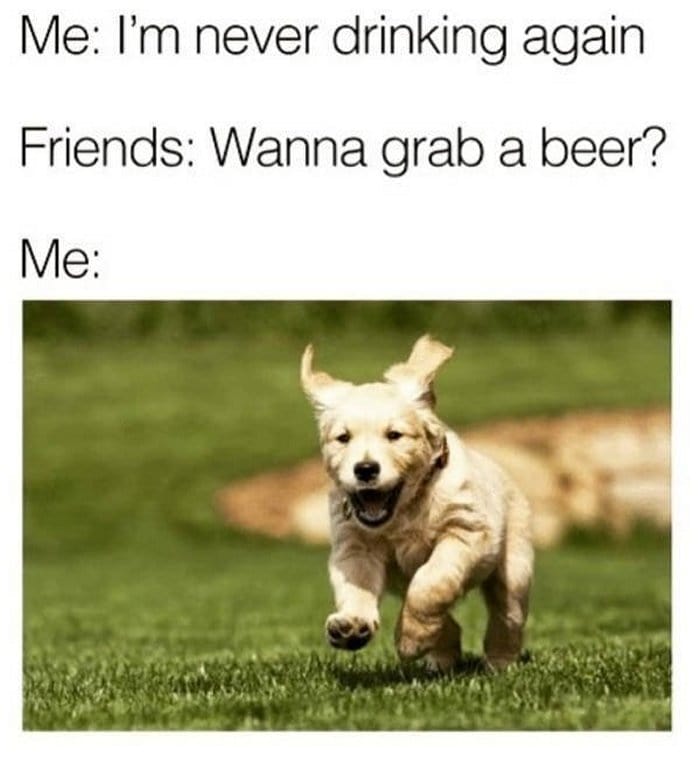 51 Hilarious Alcohol Memes For Anyone Who Has A Borderline Drinking Problem-18