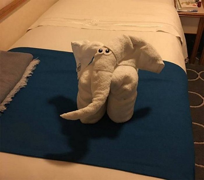 30 Best Folded Towel Art Images That Will Blow Your Mind-06