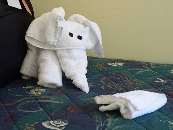 30 Best Folded Towel Art Images That Will Blow Your Mind-07