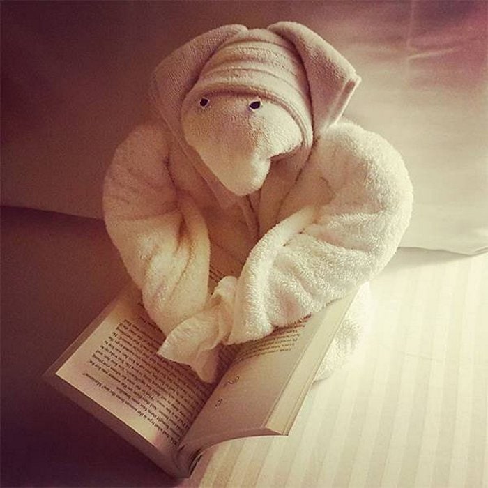 30 Best Folded Towel Art Images That Will Blow Your Mind-09