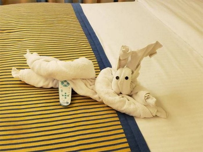 30 Best Folded Towel Art Images That Will Blow Your Mind-10