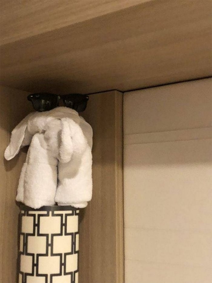 30 Best Folded Towel Art Images That Will Blow Your Mind-11