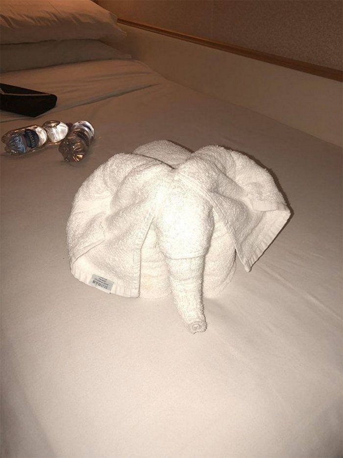 30 Best Folded Towel Art Images That Will Blow Your Mind-14