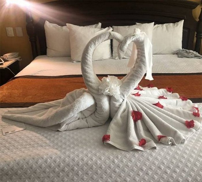 30 Best Folded Towel Art Images That Will Blow Your Mind-16