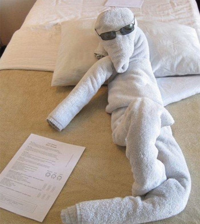 30 Best Folded Towel Art Images That Will Blow Your Mind-20