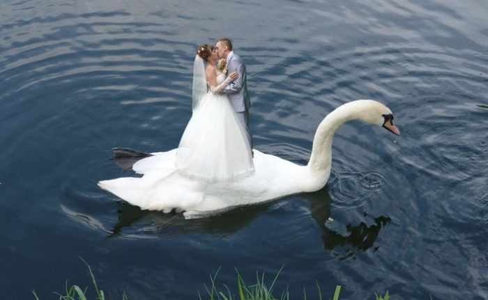 Worst Russian Wedding Photos That Are Too Awkward To Handle (40 Pics)-04